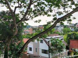 Hillcrest Arcadia (D11), Condominium #530924411